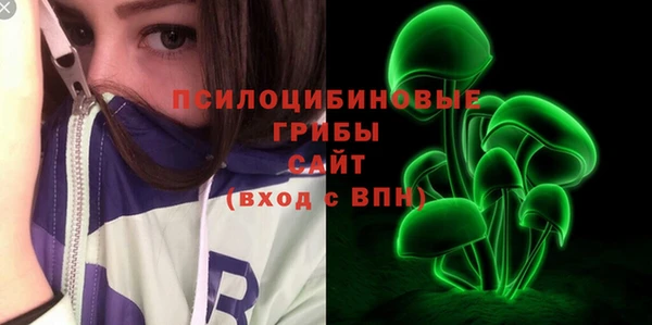 MDMA Новозыбков