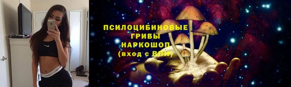 jwh Новокубанск