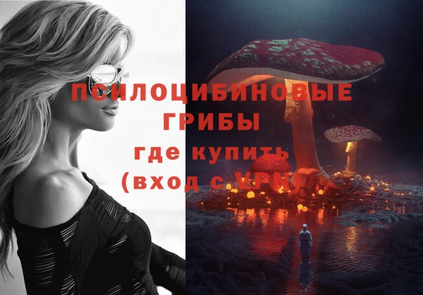 jwh Новокубанск