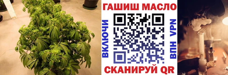 даркнет телеграм  Прохладный  ТГК THC oil  дарнет шоп 