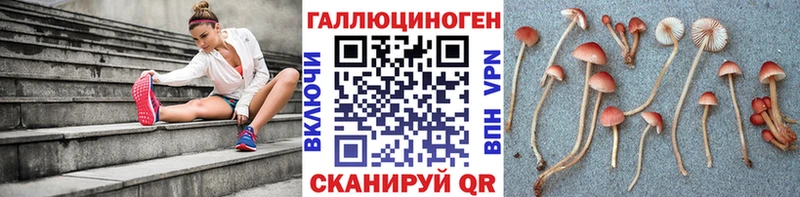 Галлюциногенные грибы прущие грибы Прохладный