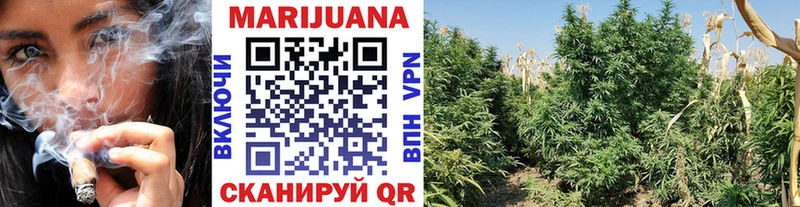 Бошки Шишки индика  Прохладный 